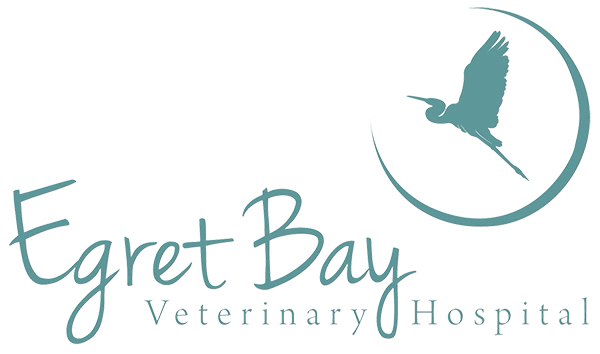 Egret Bay Veterinary Hospital